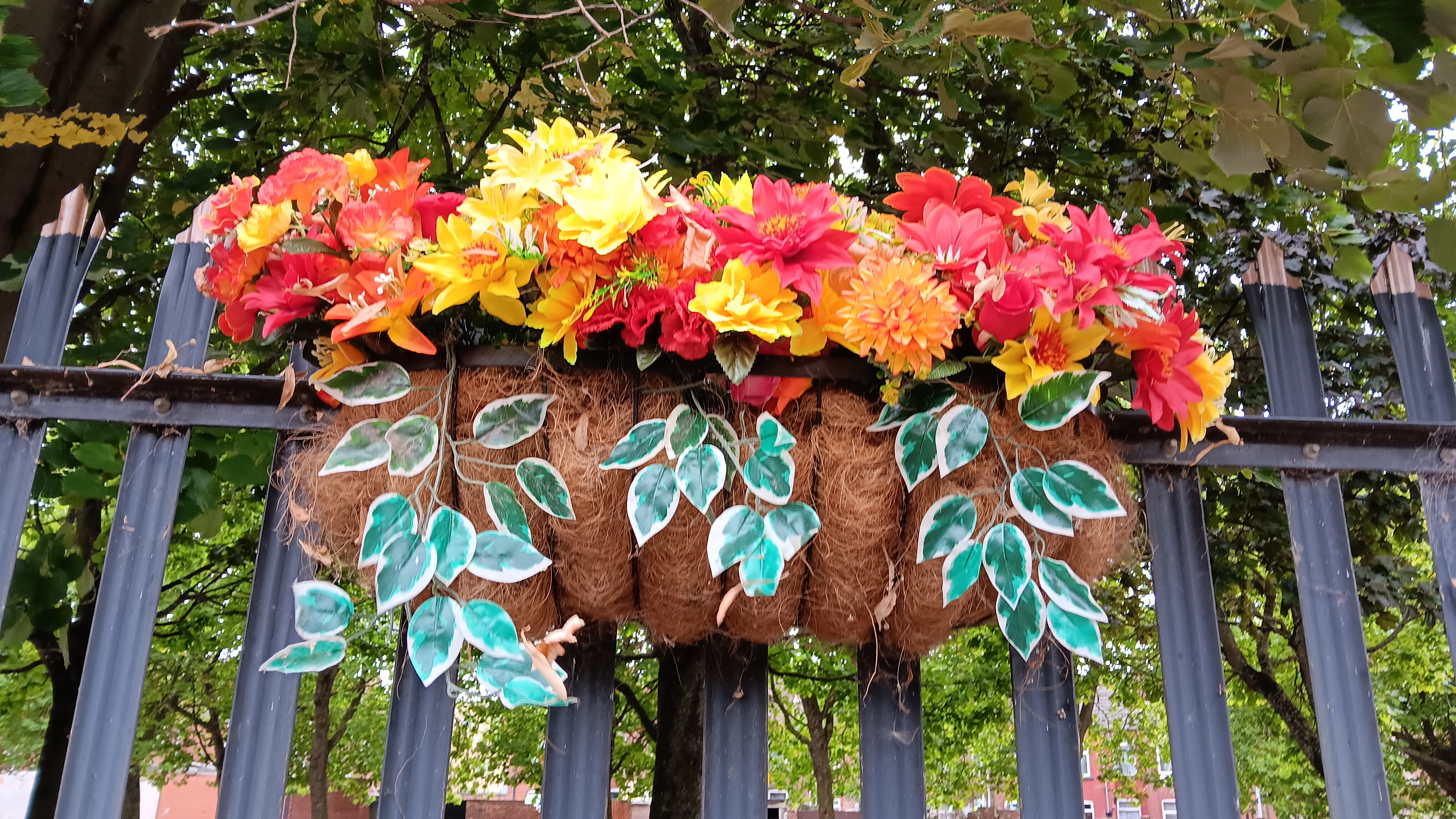 hanging flower baskets- Back Alley Sheardown Street “Hexthorpe in bloom 🌺 — turning simple spaces into places of pride, colour, and care.”