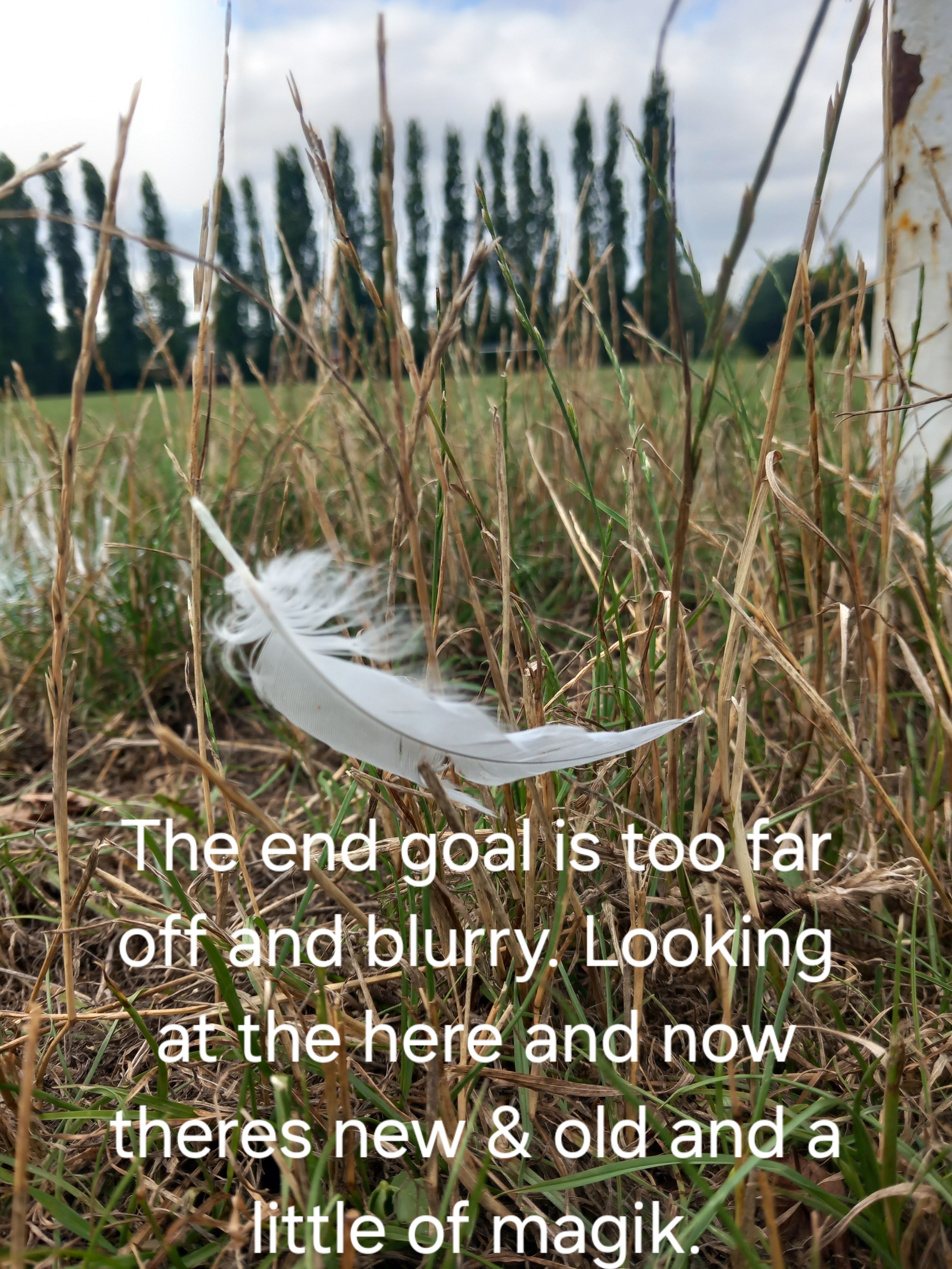white feather on a football pitch with trees and a football goal posts that are not in focus