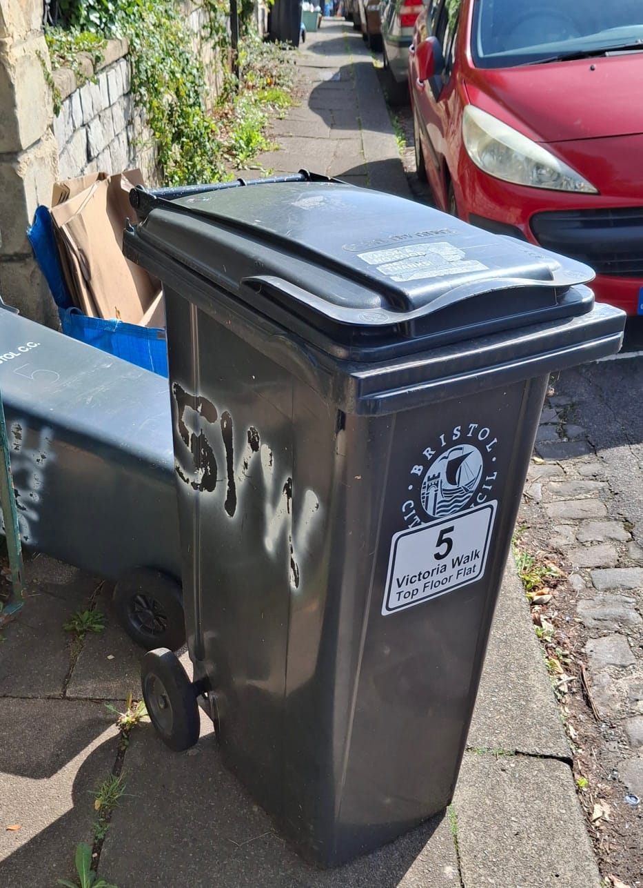 Recycling bins blocking the pavement.
