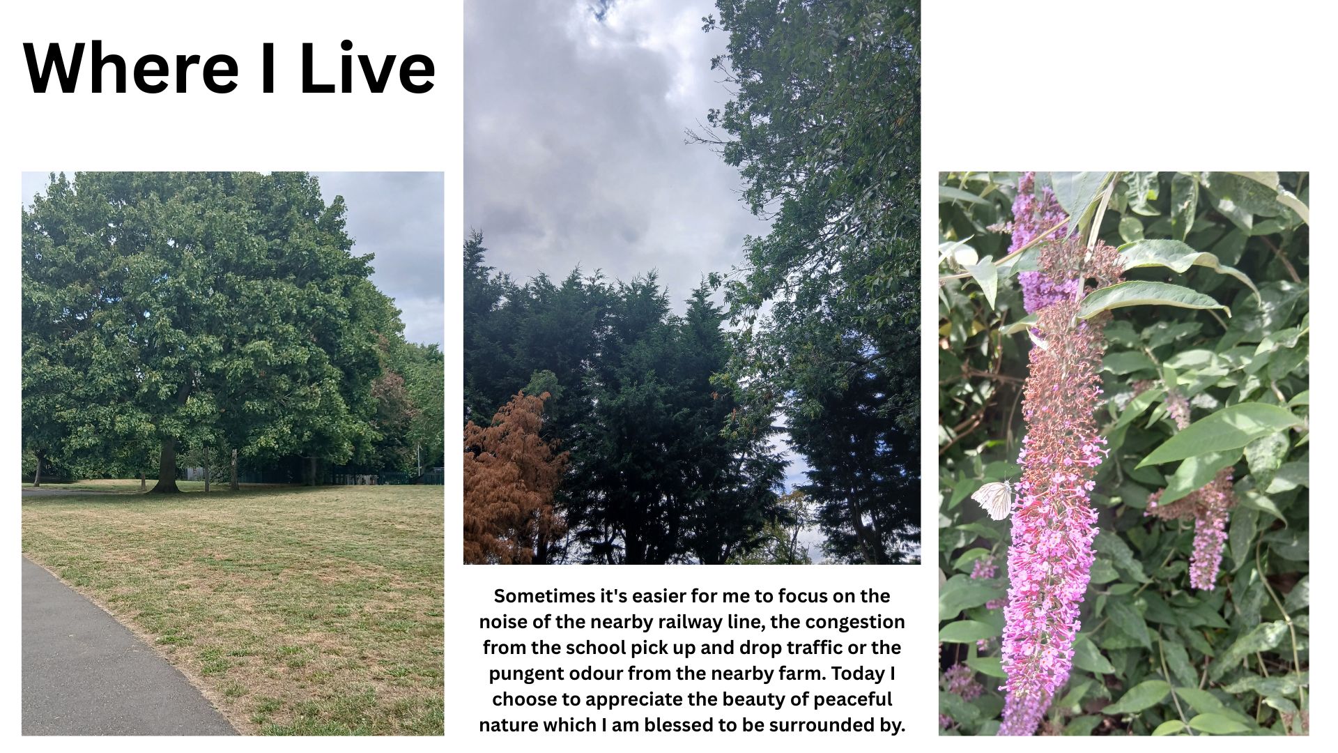 A snapshot story of my experience of where I live