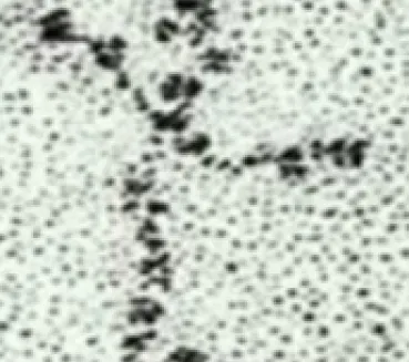 Profile picture for user Nt15t1v15