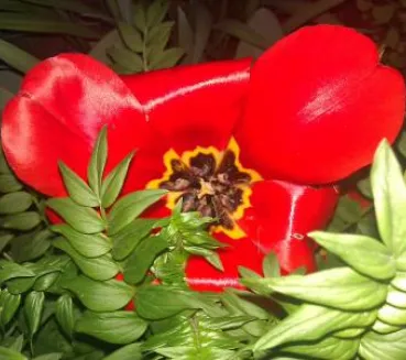 Profile picture for user Mayavoro