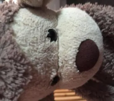 Profile picture for user TomDunn