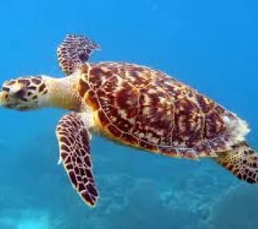 Profile picture for user EllenN