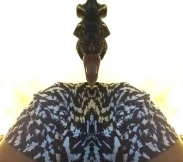 Profile picture for user J19DCJ