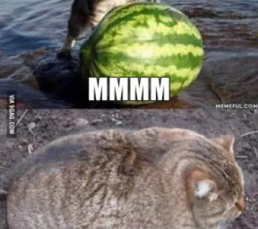 Profile picture for user MichaelKecht