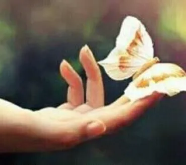 Profile picture for user Rosiya Sial