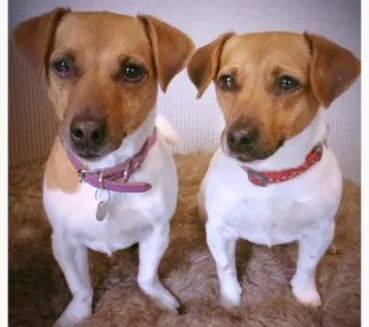 Profile picture for user StephMoo