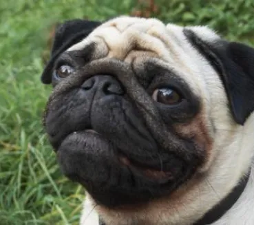 Profile picture for user tomainsworth